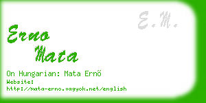 erno mata business card